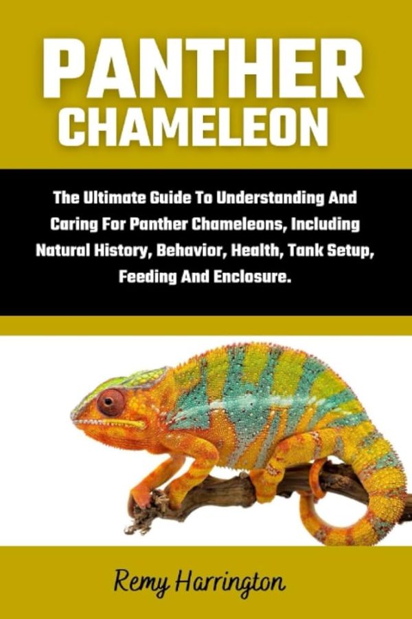 Le caméléon domestique : un guide complet pour les propriétaires