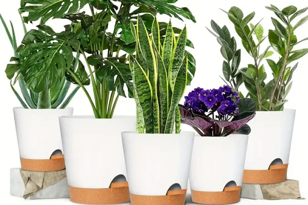 Les avantages des pots auto arrosants pour vos plantes