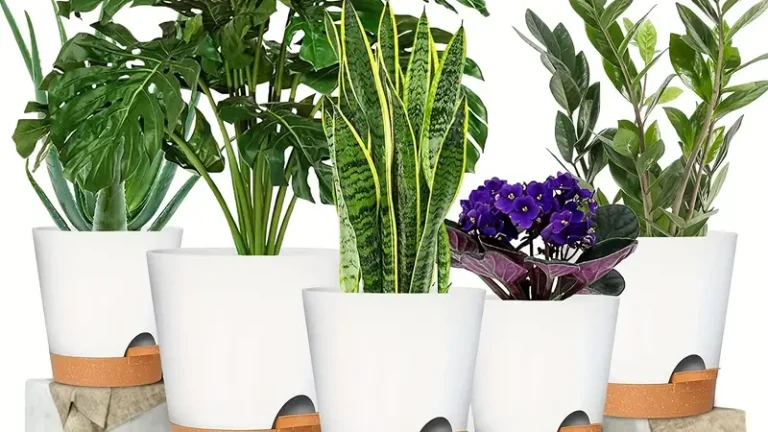 découvrez nos pots auto-arrosants innovants, conçus pour faciliter l'entretien de vos plantes. grâce à leur système d'arrosage intelligent, vos plantes restent hydratées même en votre absence. parfaits pour les jardiniers occupés, ces pots allient esthétique et praticité pour un jardinage simplifié.