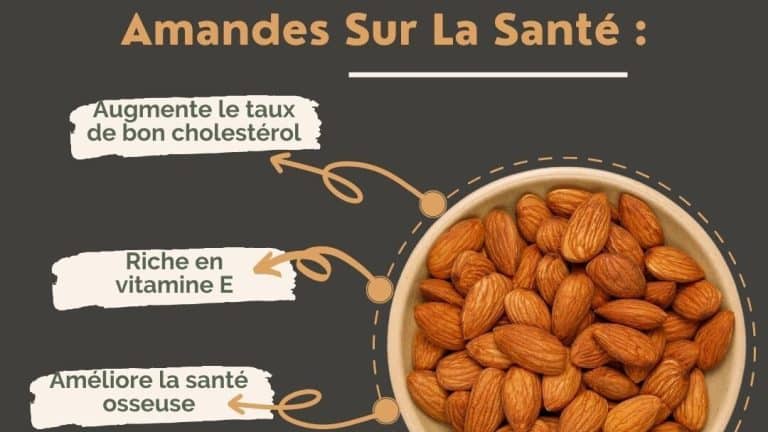 découvrez les bienfaits des amandes torréfiées pour votre santé et votre bien-être. riches en nutriments, elles favorisent la santé cardiaque, augmentent l'énergie et sont idéales pour une collation saine. apprenez comment les intégrer facilement dans votre alimentation quotidienne.